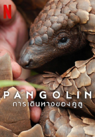 Pangolin Kulu's Journey (2025) การเดินทางของคูลู